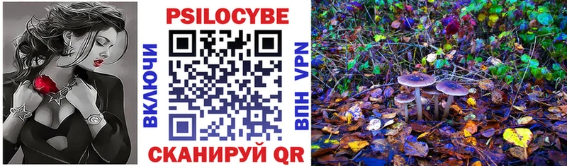 дарнет шоп Абакан Псилоцибиновые грибы Cubensis